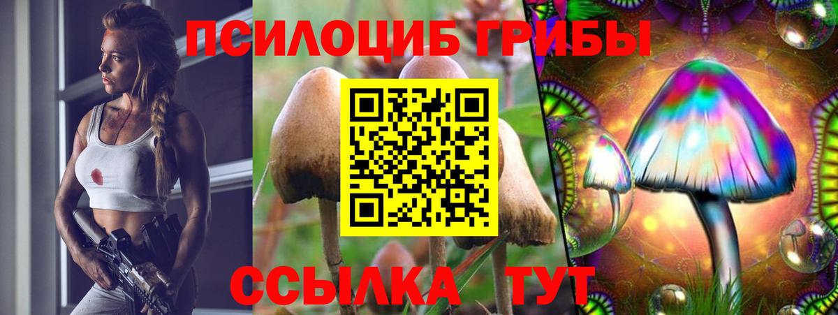 Псилоцибиновые грибы Magic Shrooms Богородицк